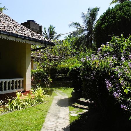 Top Of The Hill Guesthouse Велігама Екстер'єр фото