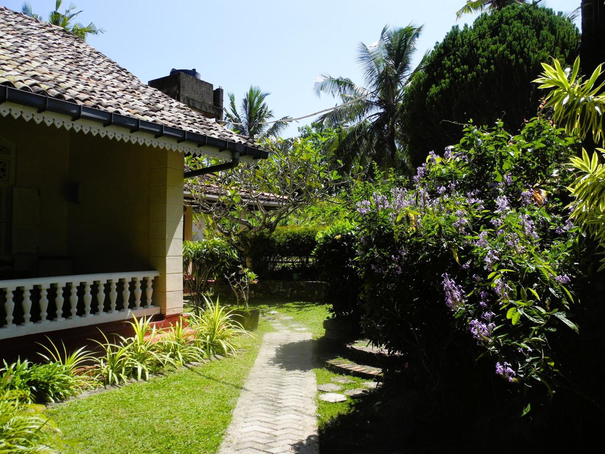 Top Of The Hill Guesthouse Велігама Екстер'єр фото